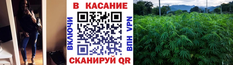 Меф Новоалександровск