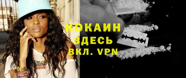 стафф Михайловск