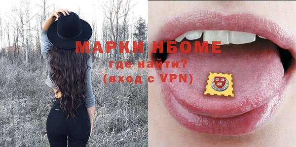 МДПВ Михайлов