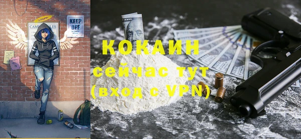 МДПВ Михайлов