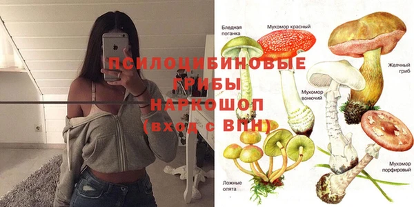 стафф Михайловка