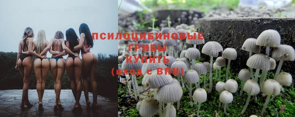 стафф Михайловка
