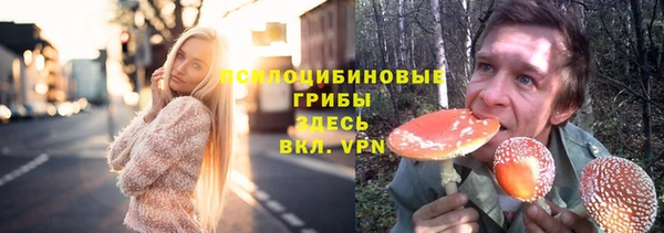 стафф Михайловск