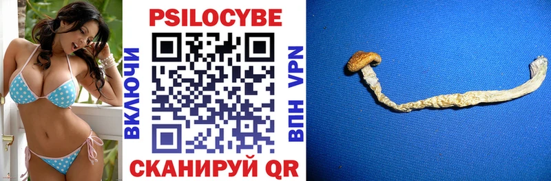 Псилоцибиновые грибы мицелий Купить закладки Новоалександровск